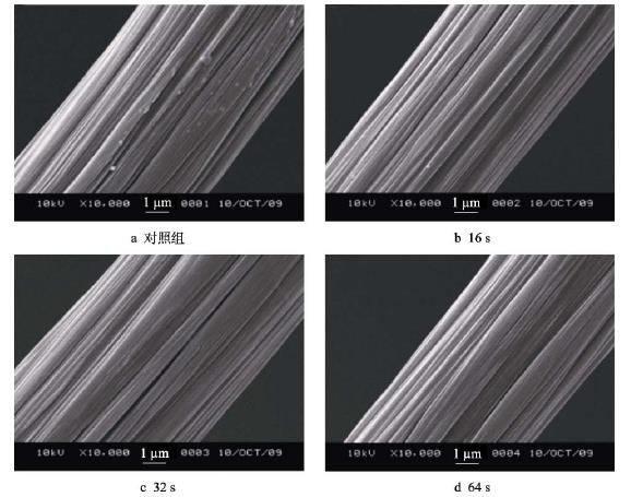 不同等離子處理時(shí)間對(duì)碳纖維表面的影響