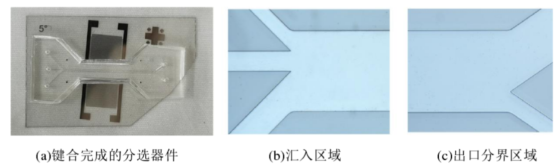 分選器件與管道